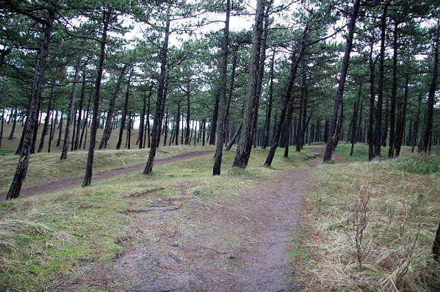 081 Texel.jpg